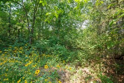 property photo for Springlake Plat 2 Tract 10, 0.21 acres for sale in Miller County, Missouri