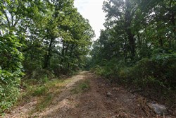 property photo for Springlake Plat 2 Tract 11, 0.19 acres for sale in Miller County, Missouri