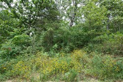 property photo for Springlake Plat 2 Tract 26, 0.19 acres for sale in Miller County, Missouri