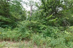 property photo for Springlake Plat 2 Tract 26, 0.19 acres for sale in Miller County, Missouri