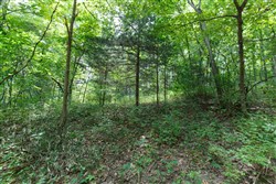 property photo for Springlake Plat 4 Tract 59, 0.22 acres for sale in Miller County, Missouri