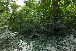 property photo for Springlake Plat 4 Tract 67, 0.19 acres for sale in Miller County, Missouri