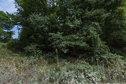property photo for Springlake Plat 4 Tract 89, 0.2 acres for sale in Miller County, Missouri