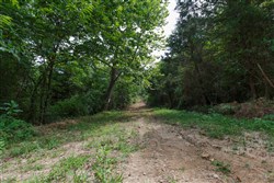 property photo for Springlake Plat 6 Tract 6, 0.19 acres for sale in Miller County, Missouri
