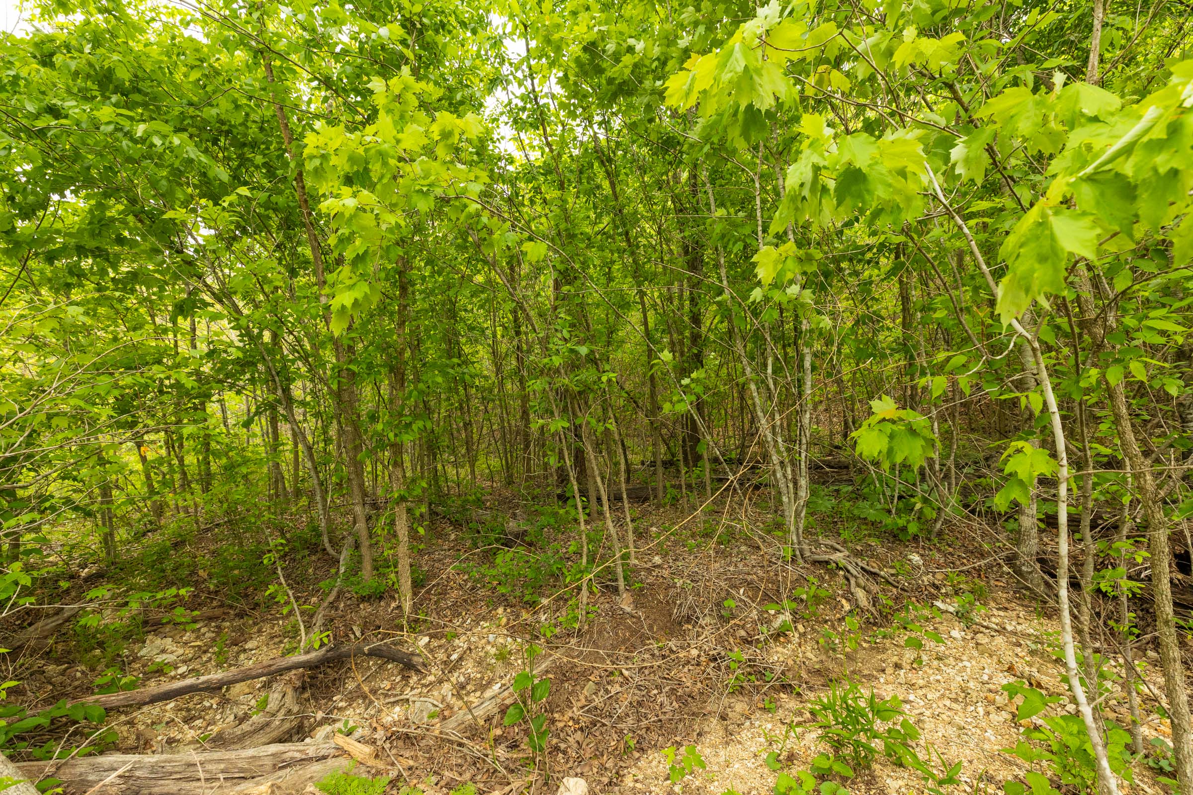 Tract 10 at Double S Ranch in Reynolds County, Missouri