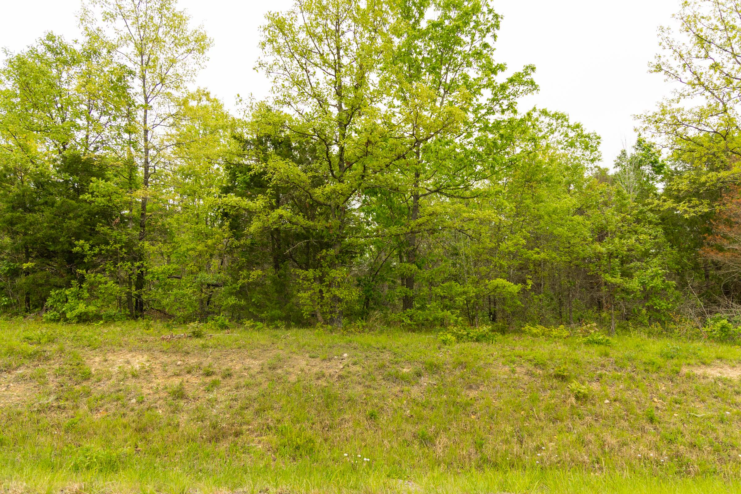 Tract 3 at Double S Ranch in Reynolds County, Missouri
