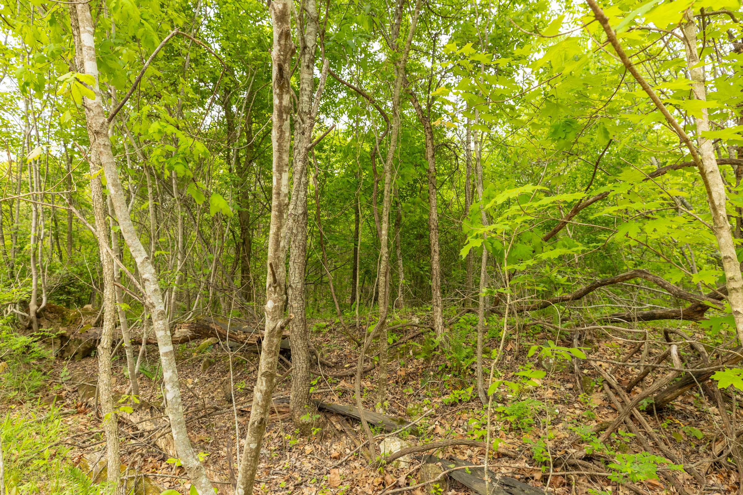 Tract 5 at Double S Ranch in Reynolds County, Missouri