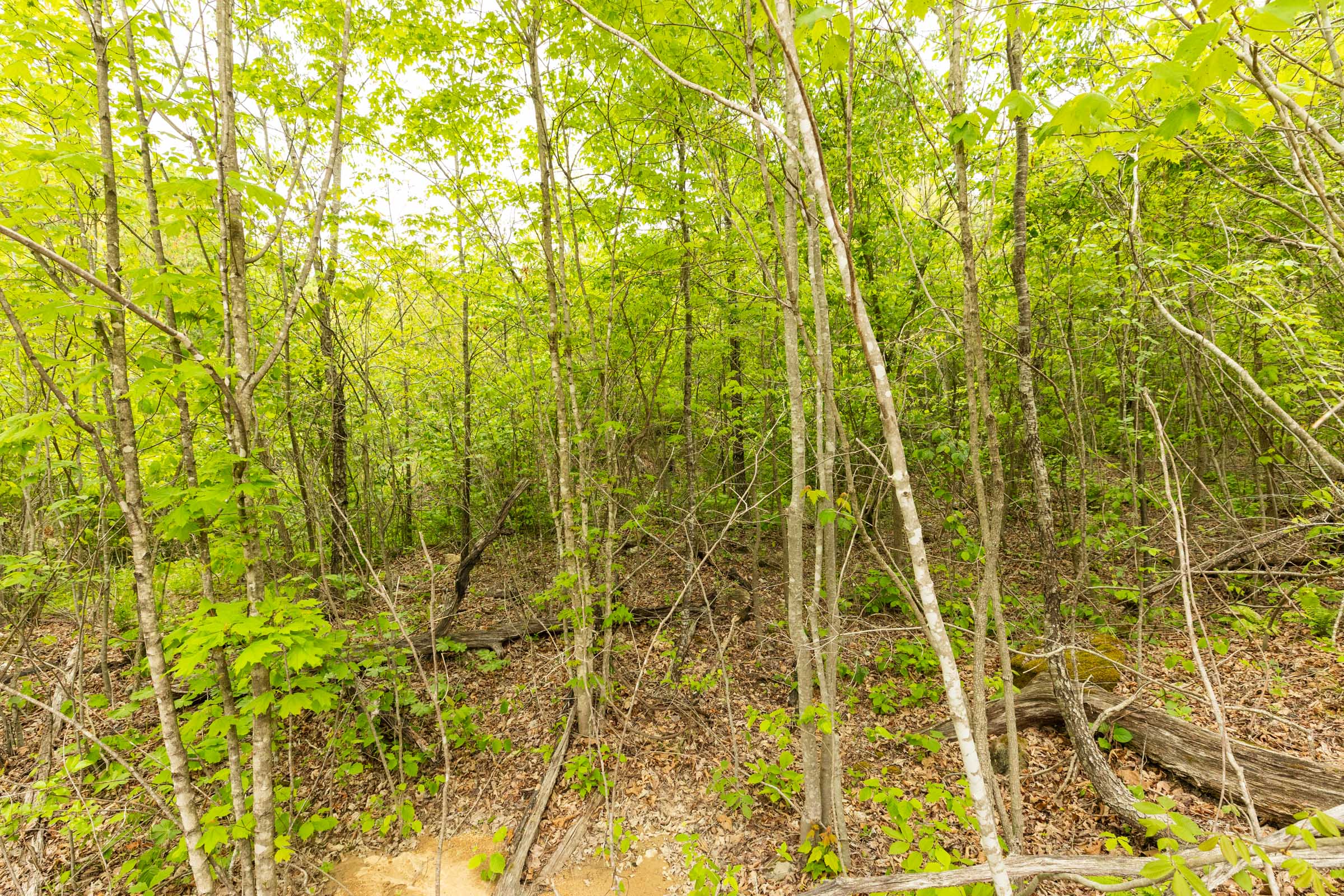 Tract 9 at Double S Ranch in Reynolds County, Missouri
